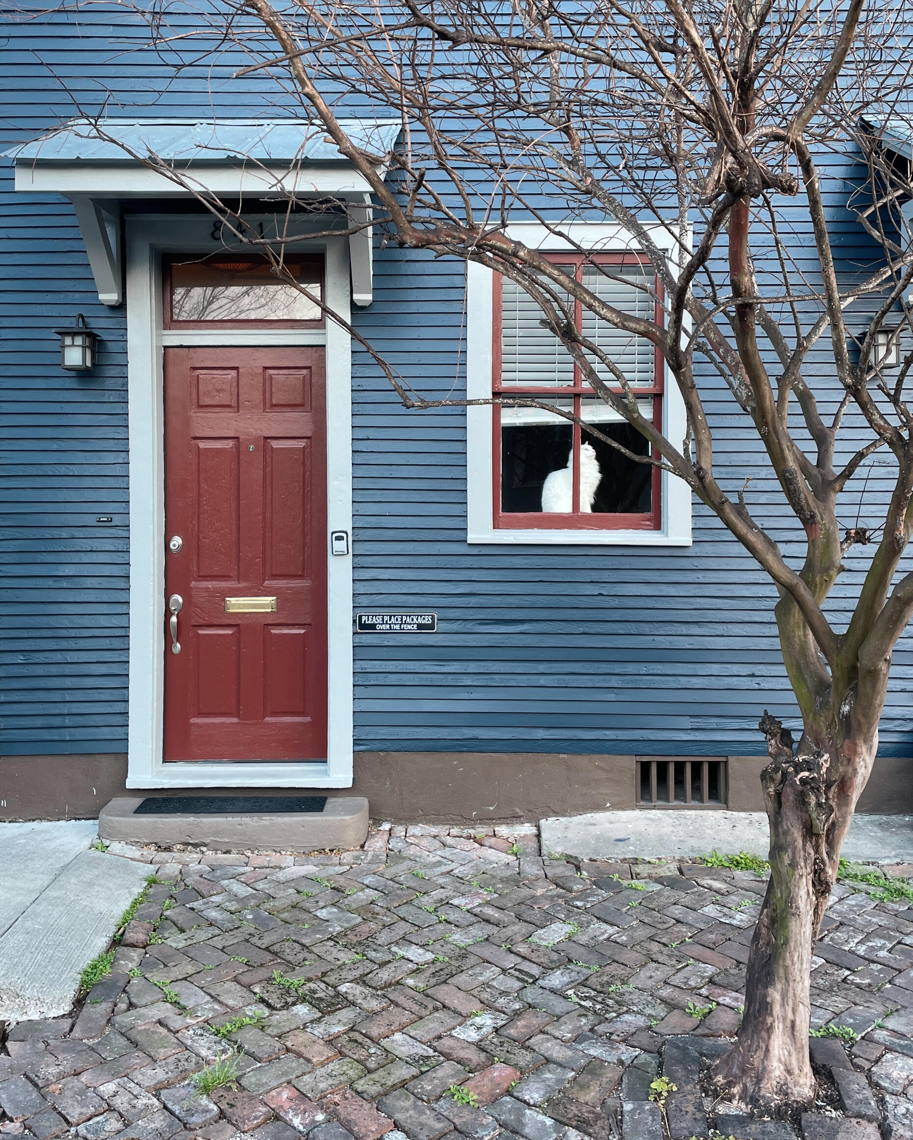 A white cat observing the world from the other side of a window in a blue house with red trim in front of a brick sidewalk